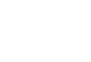 春の木透明ロゴ